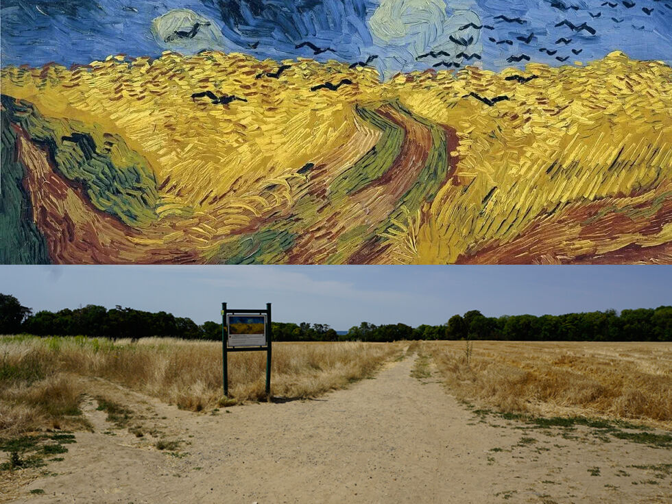 activity_detail_image