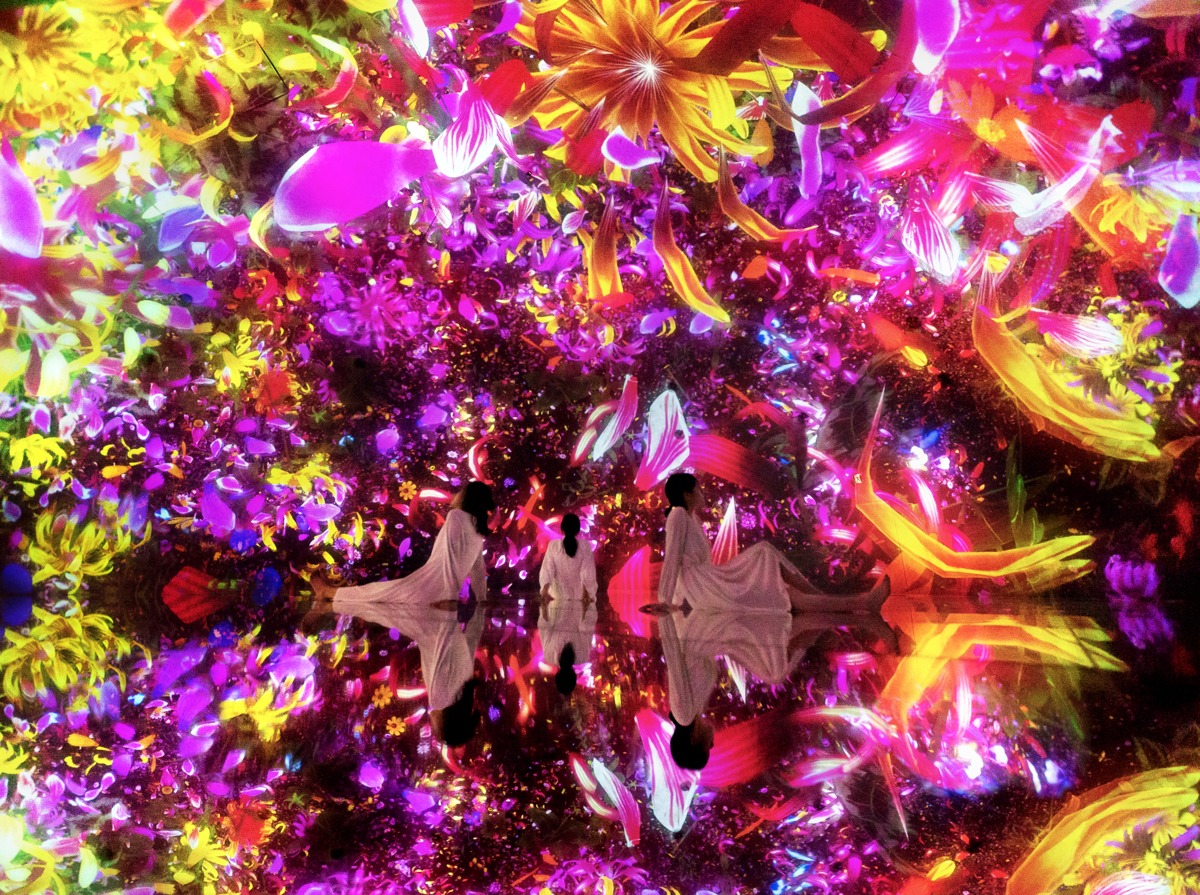 activity_detail_image