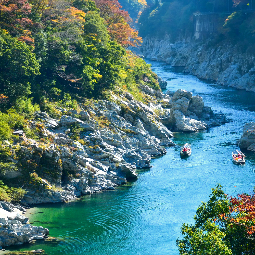 도쿠시마 일일 버스투어 - 소도시 감성 네이처 투어