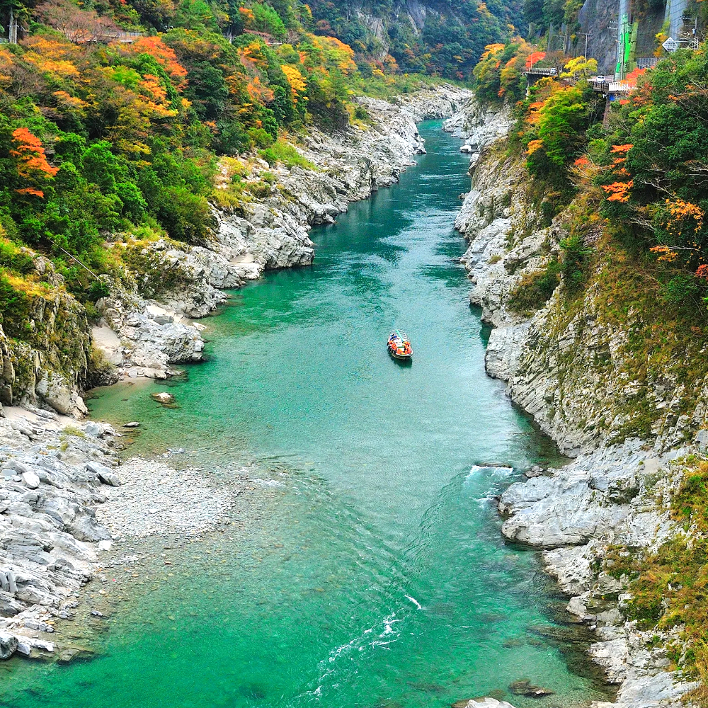 도쿠시마 일일 버스투어 - 소도시 감성 네이처 투어