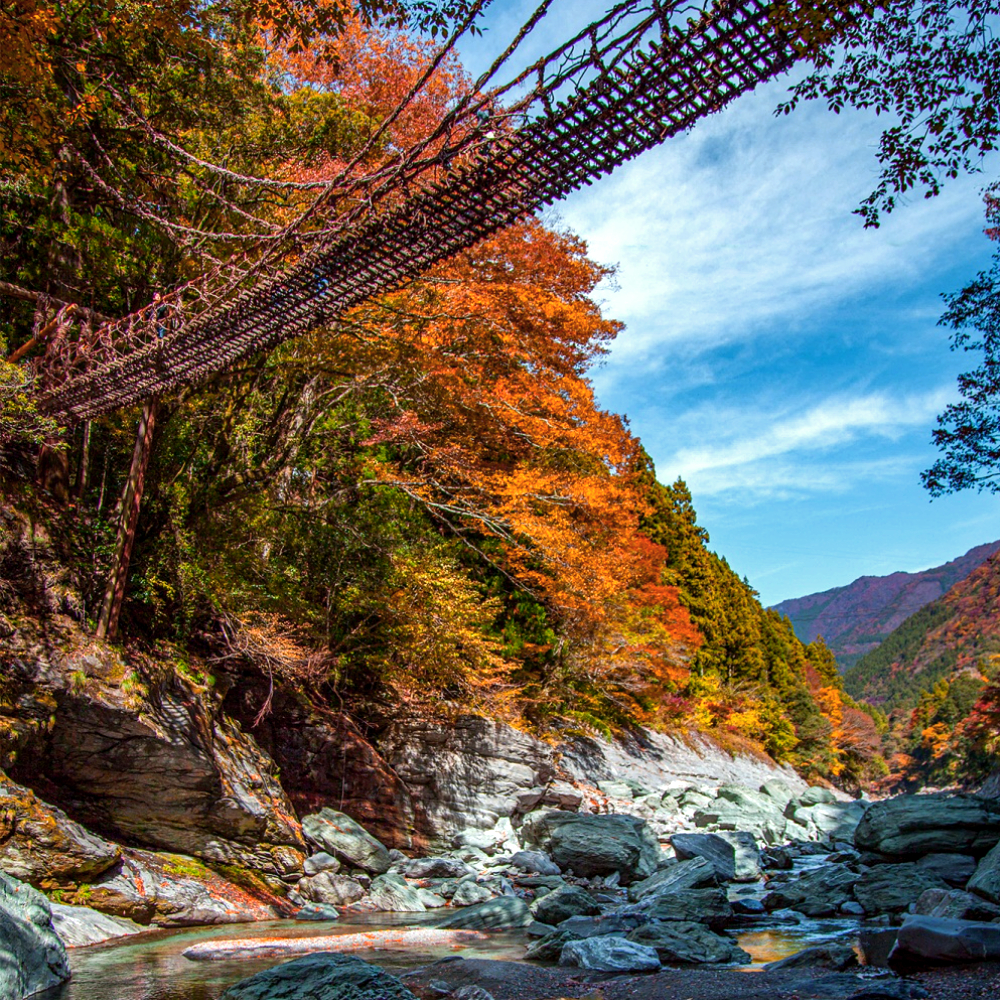 도쿠시마 일일 버스투어 - 소도시 감성 네이처 투어
