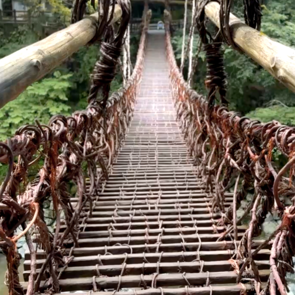 도쿠시마 일일 버스투어 - 소도시 감성 네이처 투어