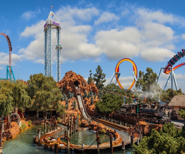 activity_detail_image