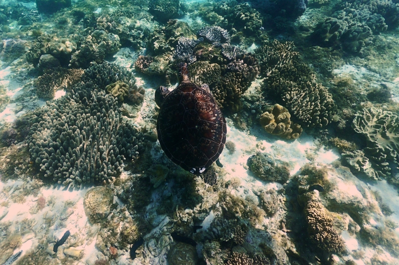 activity_detail_image