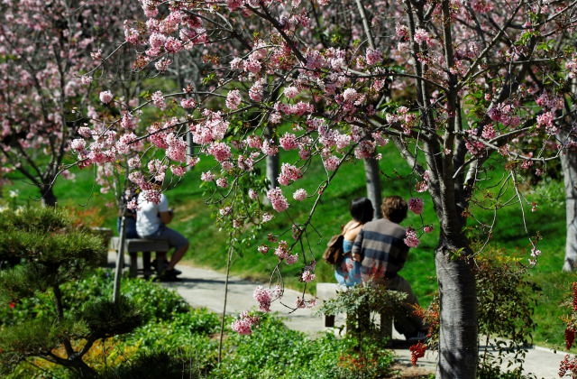 サンディエゴ・ゴー シティ オールインクルーシブ パスプラス