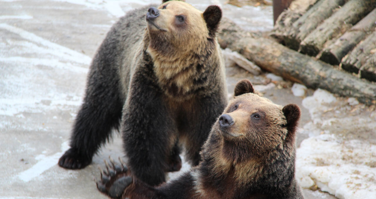 Hokkaido Noboribetsu, Lake Toya, Otaru Day Tour (From Sapporo)