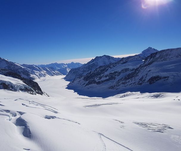 activity_detail_image