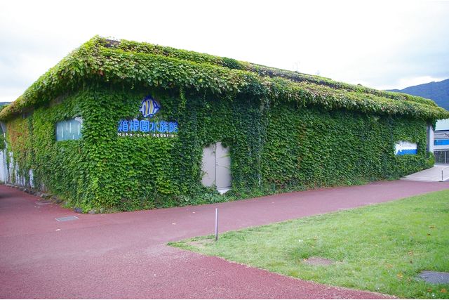 箱根園水族館 入場チケット