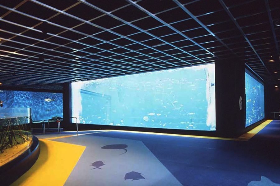 activity_detail_image