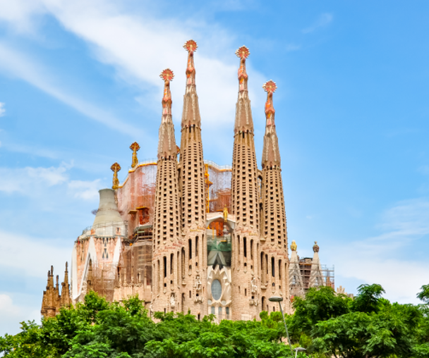 activity_detail_image