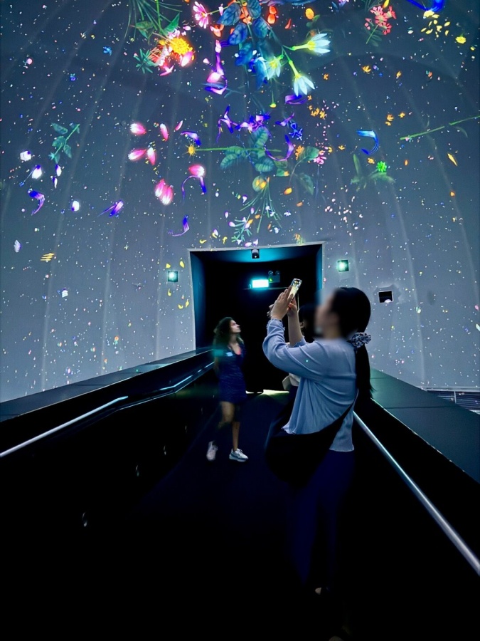 싱가포르 국립박물관 도슨트 + 멀라이언 + 올드시티 + 하지래인 필수 일일 투어