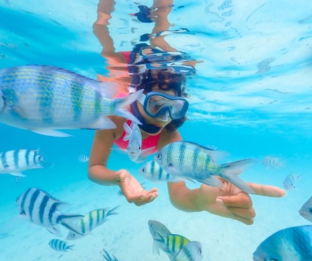 activity_detail_image