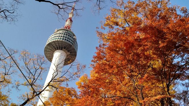Nソウルタワー展望台入場券 + 南山(ナムサン)ヤックァ(韓国の伝統菓子)プレゼント