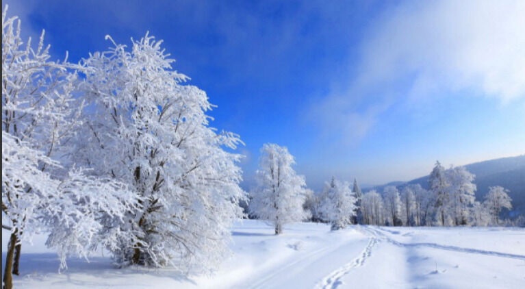 [고비노매드투어] 액티비티한 몽골 테를지 겨울 축제 일일 투어