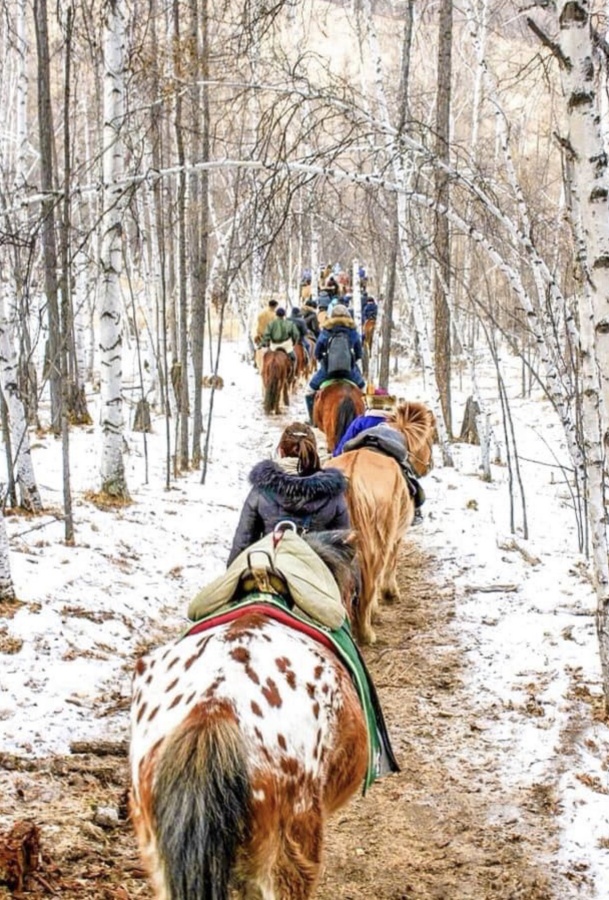 [고비노매드투어] [2박3일] 테를지 겨울 주말 여행 - 고급 캠프 호텔