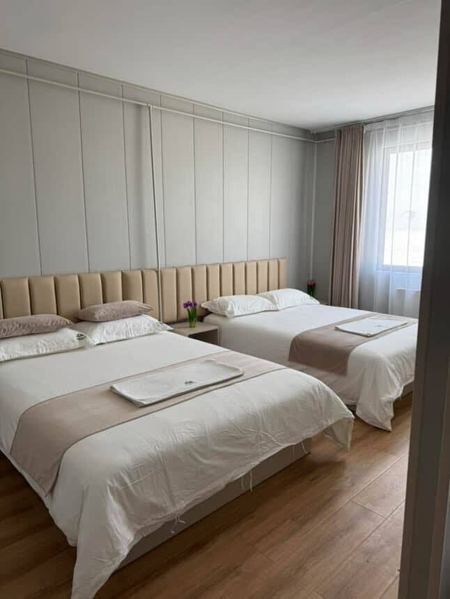 [고비노매드투어] [3박4일] 몽골 오기호수 + 미니사막 + 테를지 + 얼음 축제 겨울 투어