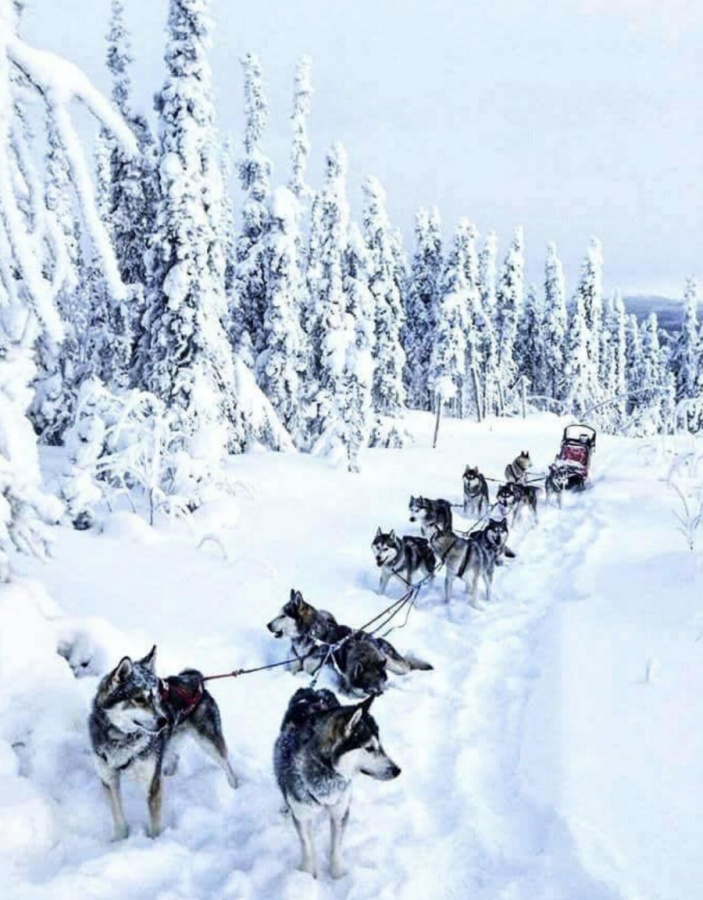 [고비노매드투어] [3박4일] 몽골 오기호수 + 미니사막 + 테를지 + 얼음 축제 겨울 투어