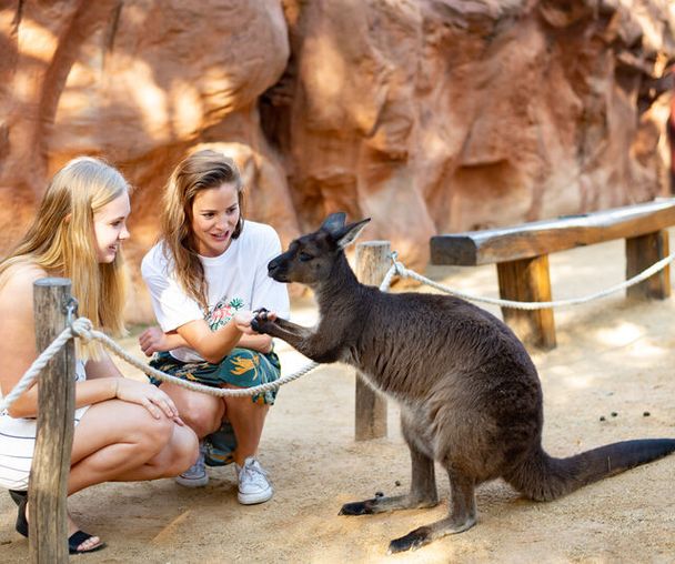 activity_detail_image