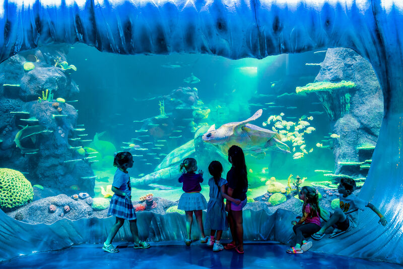 activity_detail_image
