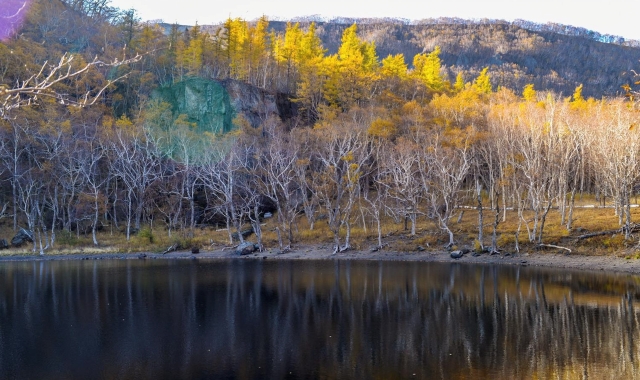 이도백하 출발: 백두산 북파 일일 투어 (가이드 불포함)