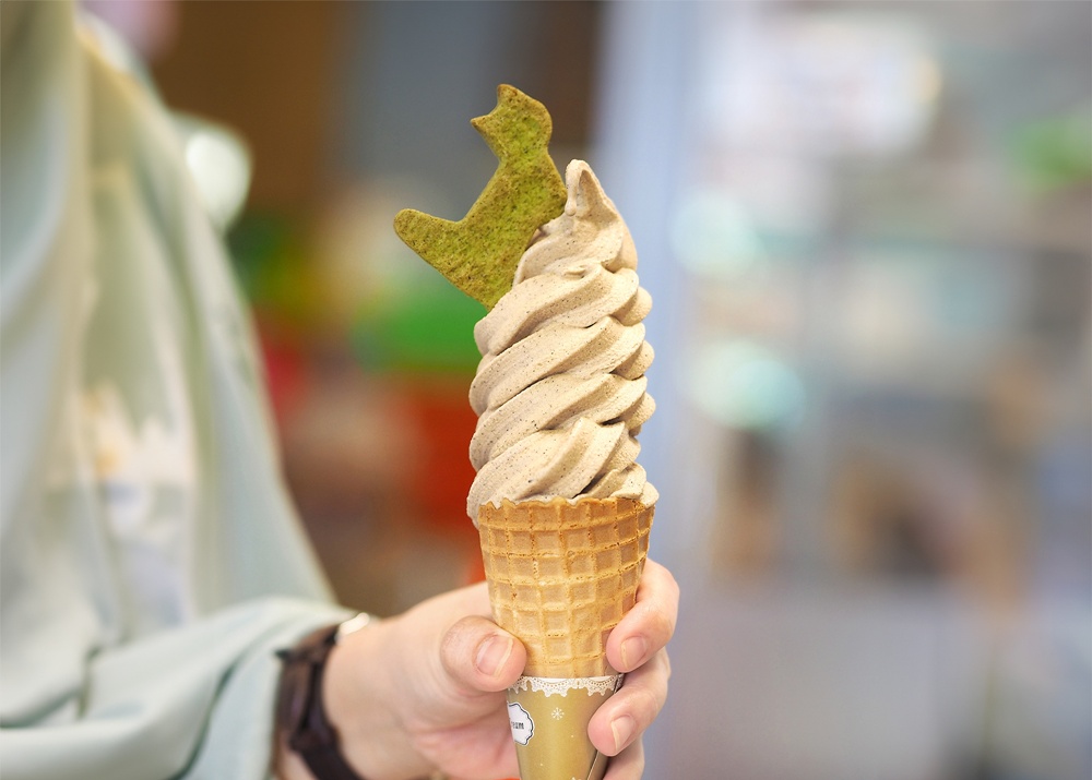 타이베이 마오콩 곤돌라 & 션컹 두부 마을 프라이빗 투어