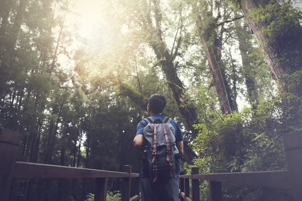 [1박2일] 타이베이 출발: 대만 아리산 프라이빗 투어