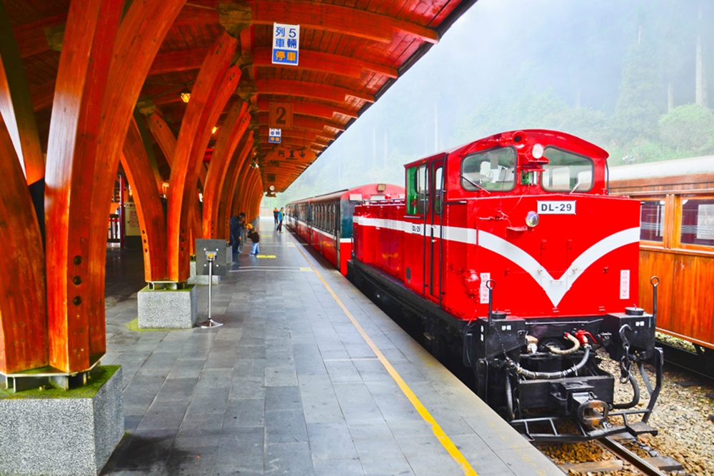 [1박2일] 타이베이 출발: 대만 아리산 프라이빗 투어