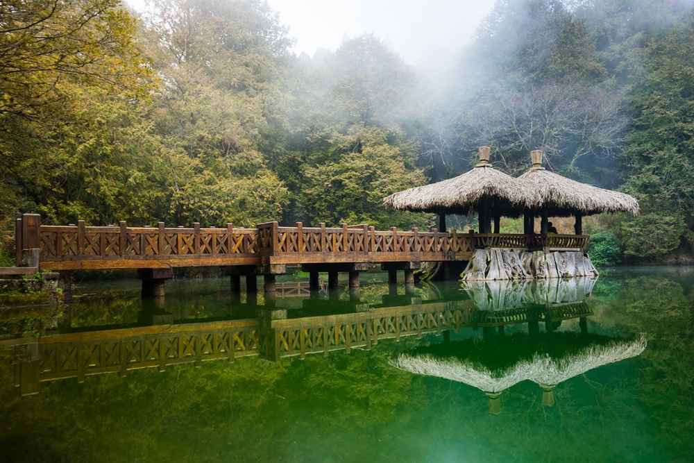 [1박2일] 타이베이 출발: 대만 아리산 프라이빗 투어