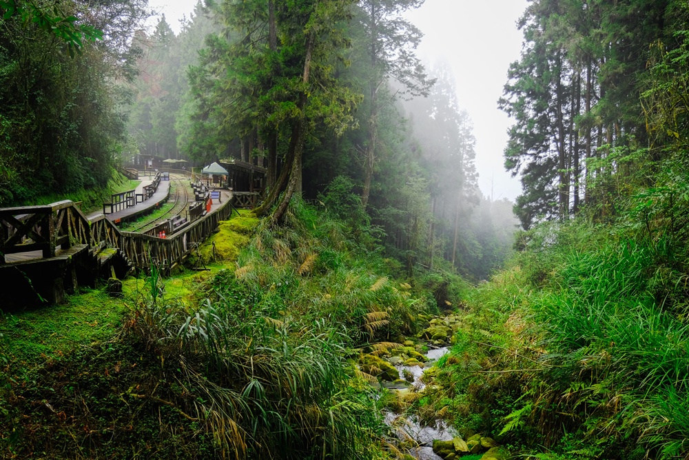 [1박2일] 타이베이 출발: 대만 아리산 프라이빗 투어