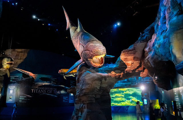 싱가포르 오셔너리움 아쿠아리움 입장권