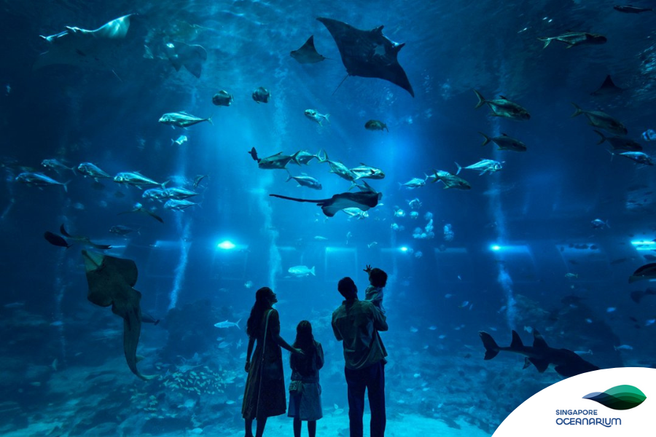 シンガポール・オーシャナリウム入場チケット(旧S.E.A.アクアリウム)