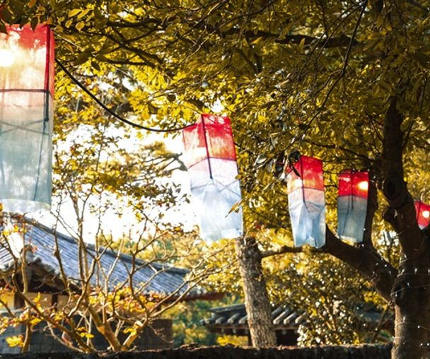 activity_detail_image