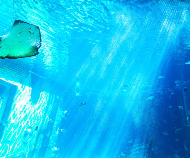 activity_detail_image