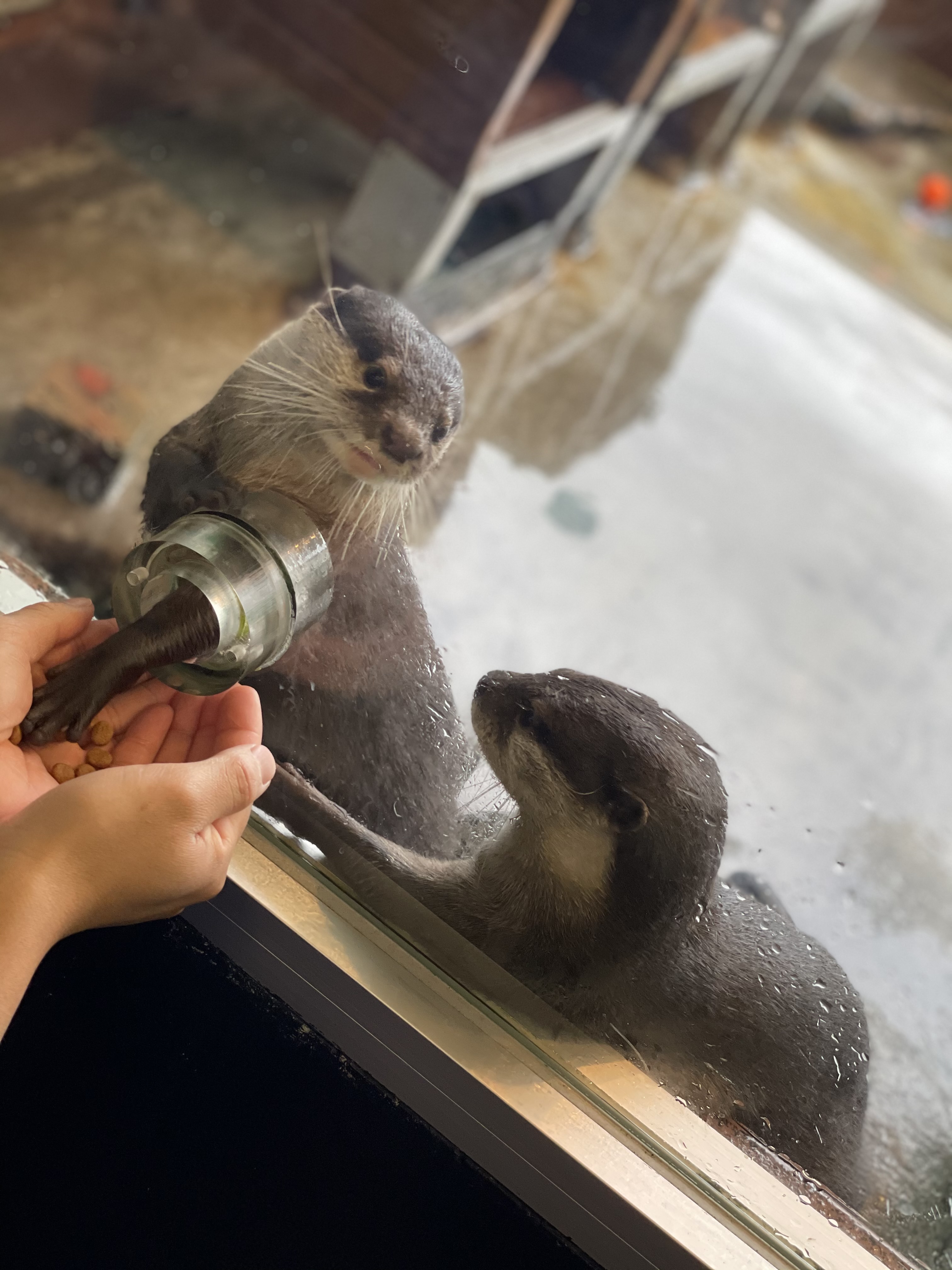 activity_detail_image