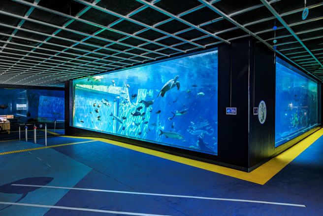 Kanagawa Hakone-en Aquarium Ticket