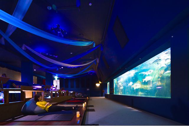 Ise Sea Paradise Aquarium Ticket