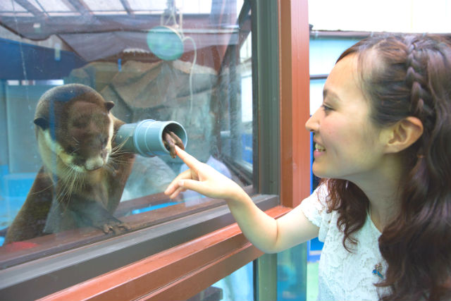 伊勢シーパラダイス 水族館 入場チケット