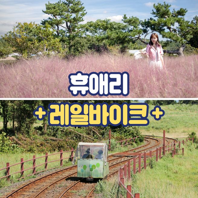 제주 휴애리 입장권 + 레일바이크 티켓 패키지