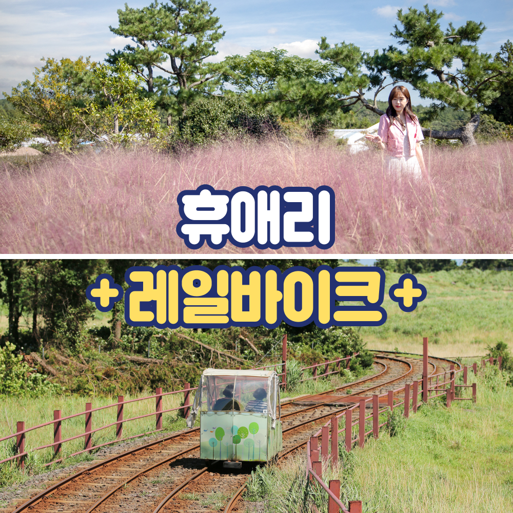 제주 휴애리 입장권 + 레일바이크 티켓 패키지