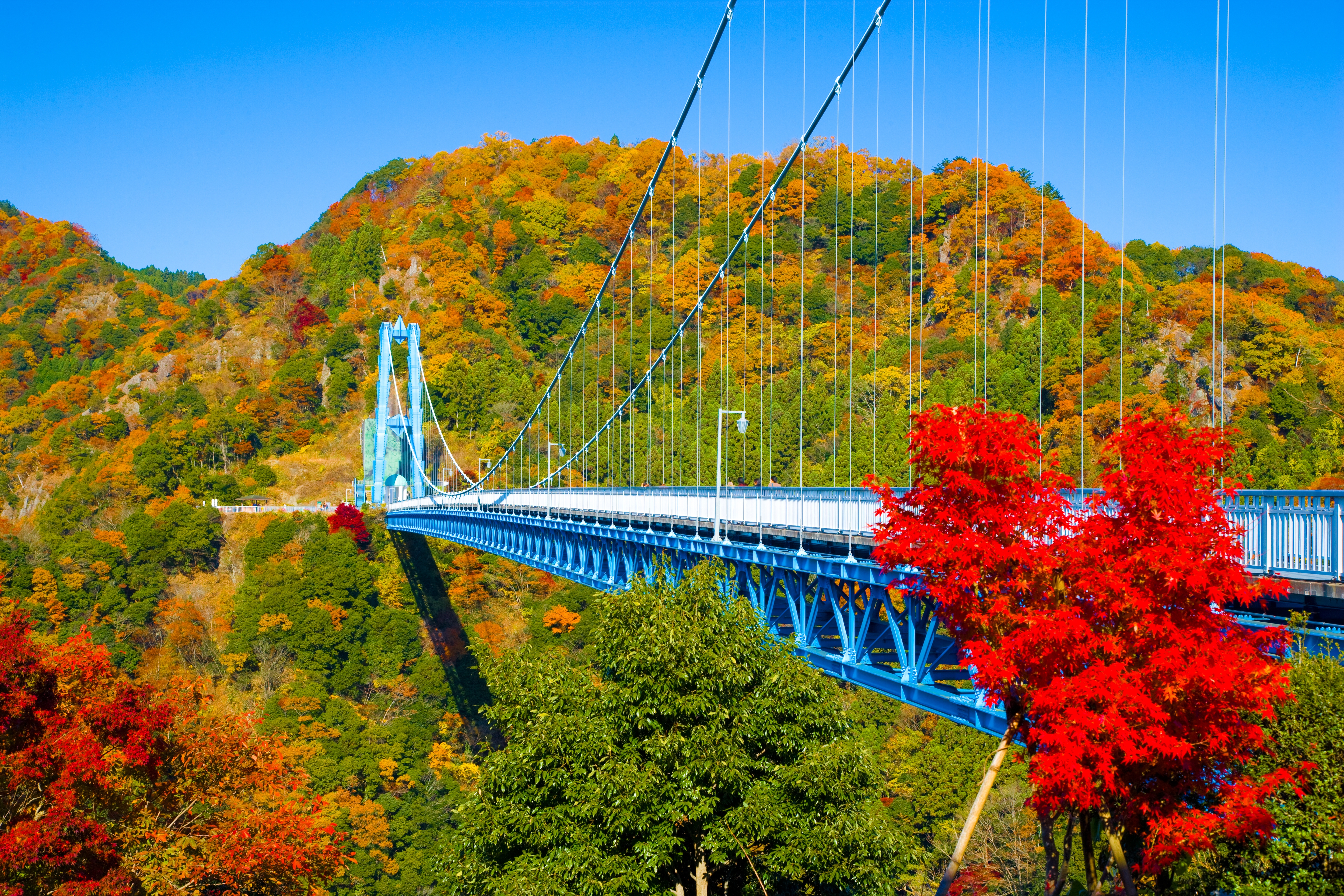 Hitachi Seaside Park, Fukuroda Falls & Ryujin Suspension Bridge Autumn Leaves Day Tour from Tokyo