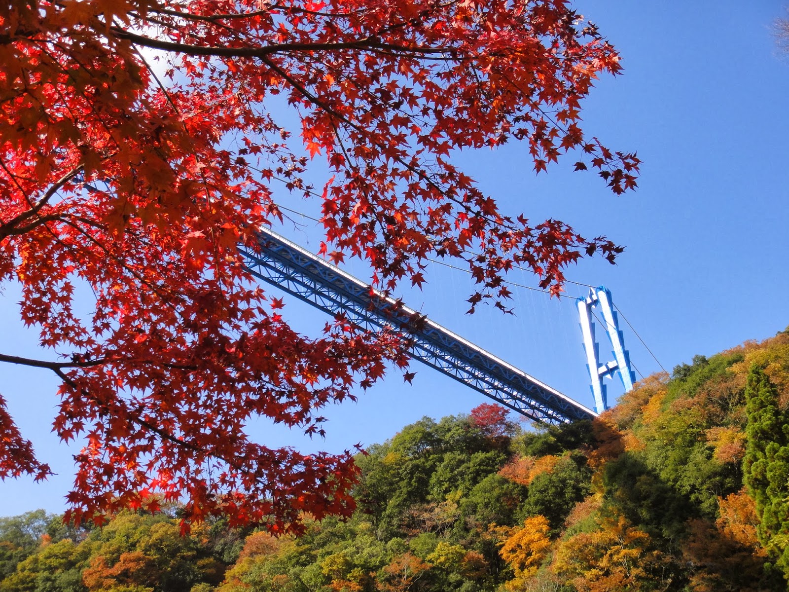 Hitachi Seaside Park, Fukuroda Falls & Ryujin Suspension Bridge Autumn Leaves Day Tour from Tokyo