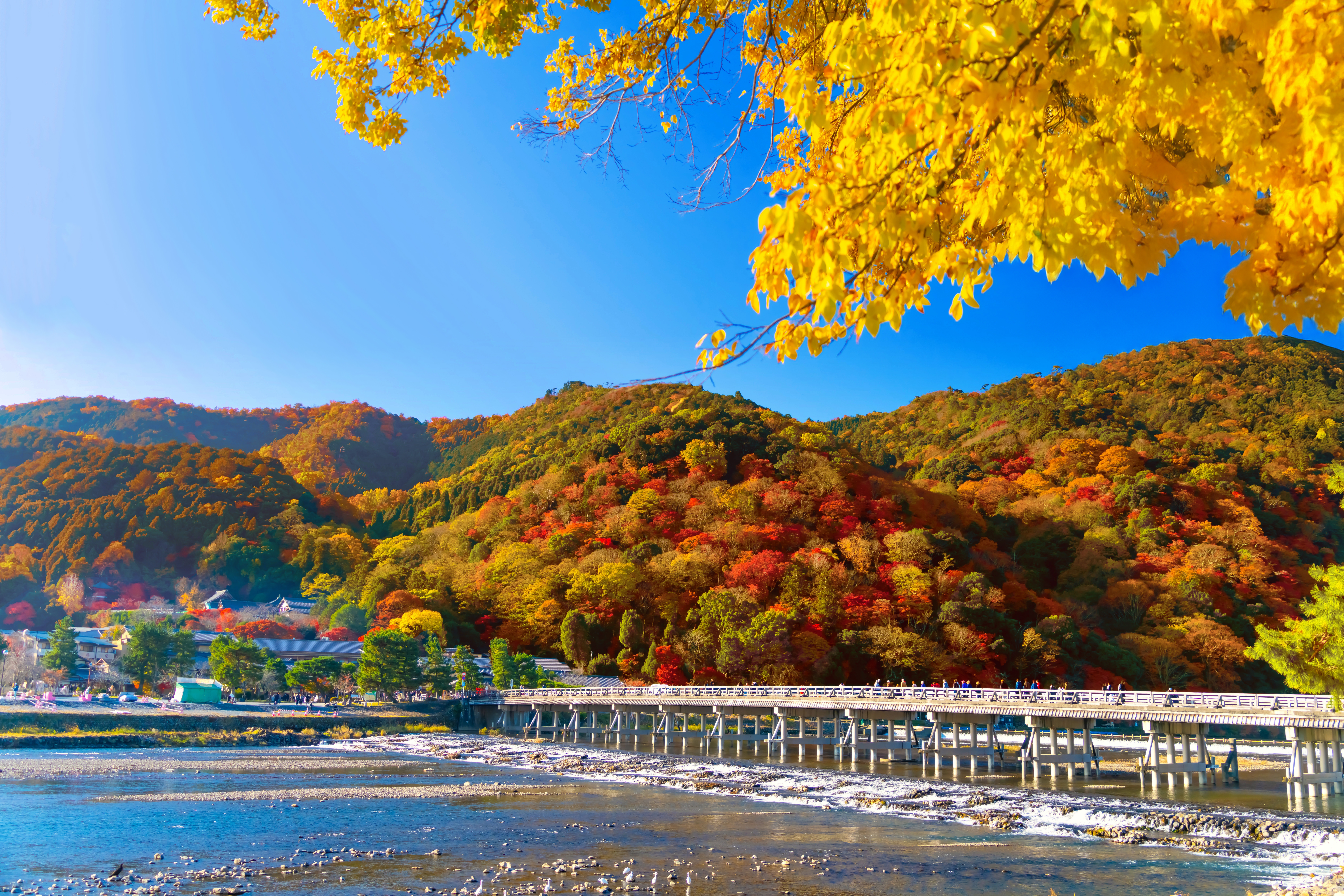오사카 출발: 가을 교토 단풍 투어 - 미노오 폭포, 사가노 열차