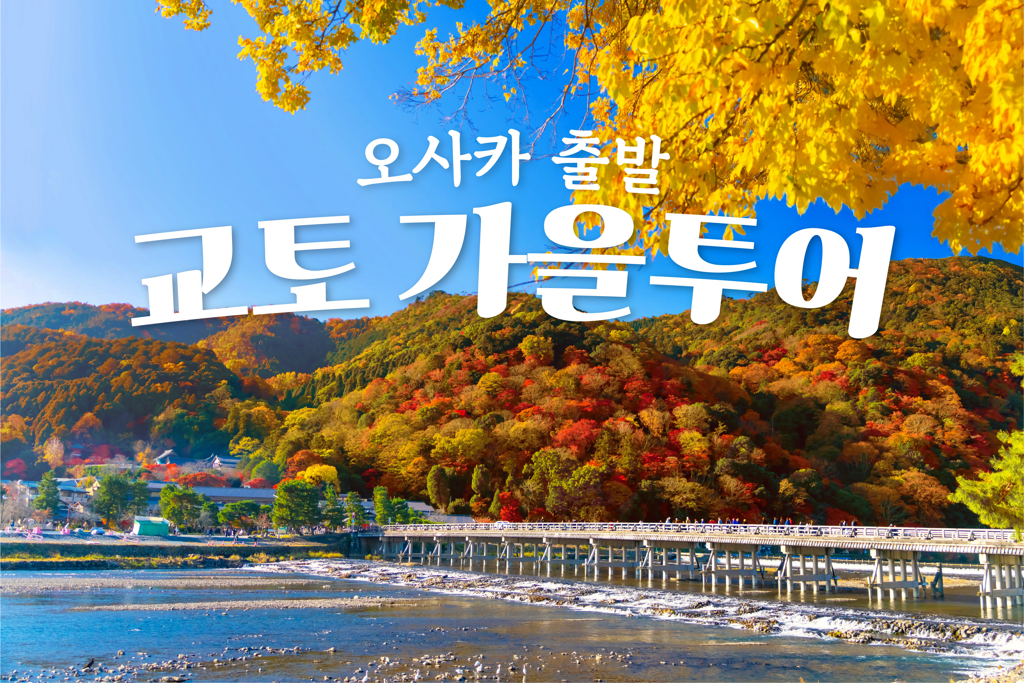 오사카 출발: 가을 교토 단풍 투어 - 미노오 폭포, 사가노 열차