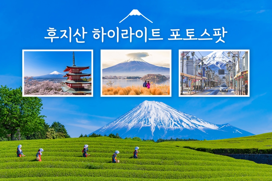 [독점할인] 도쿄 출발: 후지산 하이라이트 포토 스팟 일일 투어 (A코스)