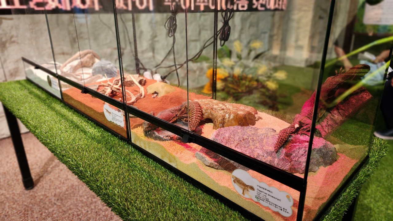 인천 '와일드벅스 곤충탐험대' 입장권