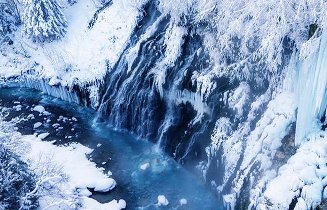 [흰그림자투어] 홋카이도 비에이 소규모 눈체험 투어