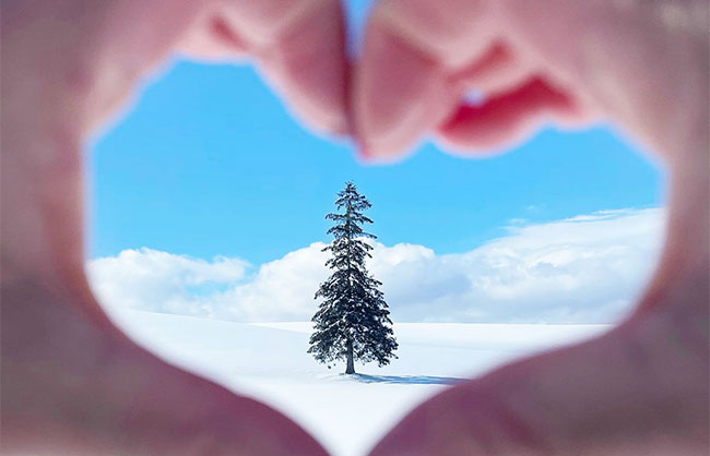 [흰그림자투어] 홋카이도 비에이 소규모 눈체험 투어