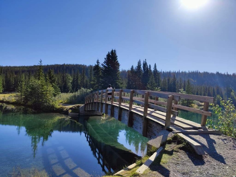 [당일] 밴프 / 로키 에메랄드 / 페이토 / 보우 호수와 마블 캐년 & 존스턴 캐년 투어