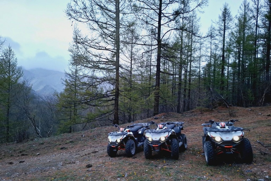 activity_detail_image
