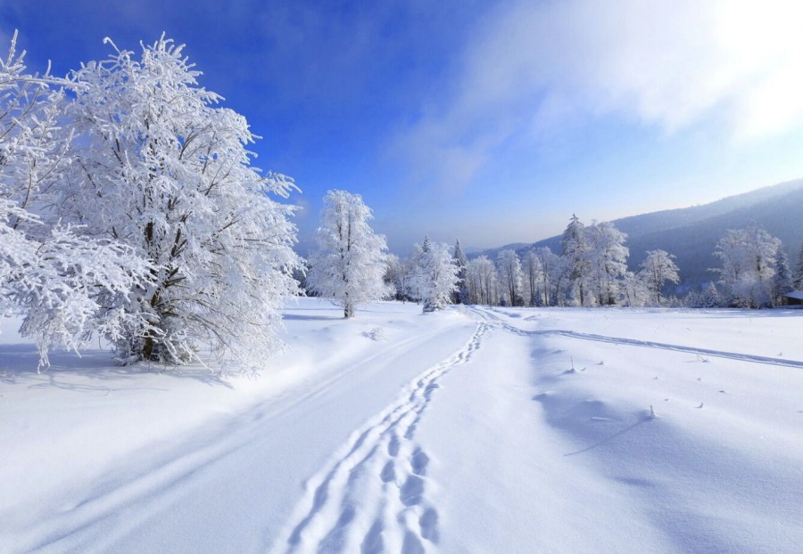 [고비노매드투어] [2박3일] 울란바토르 미니사막 + 아리아발 사원 겨울 투어